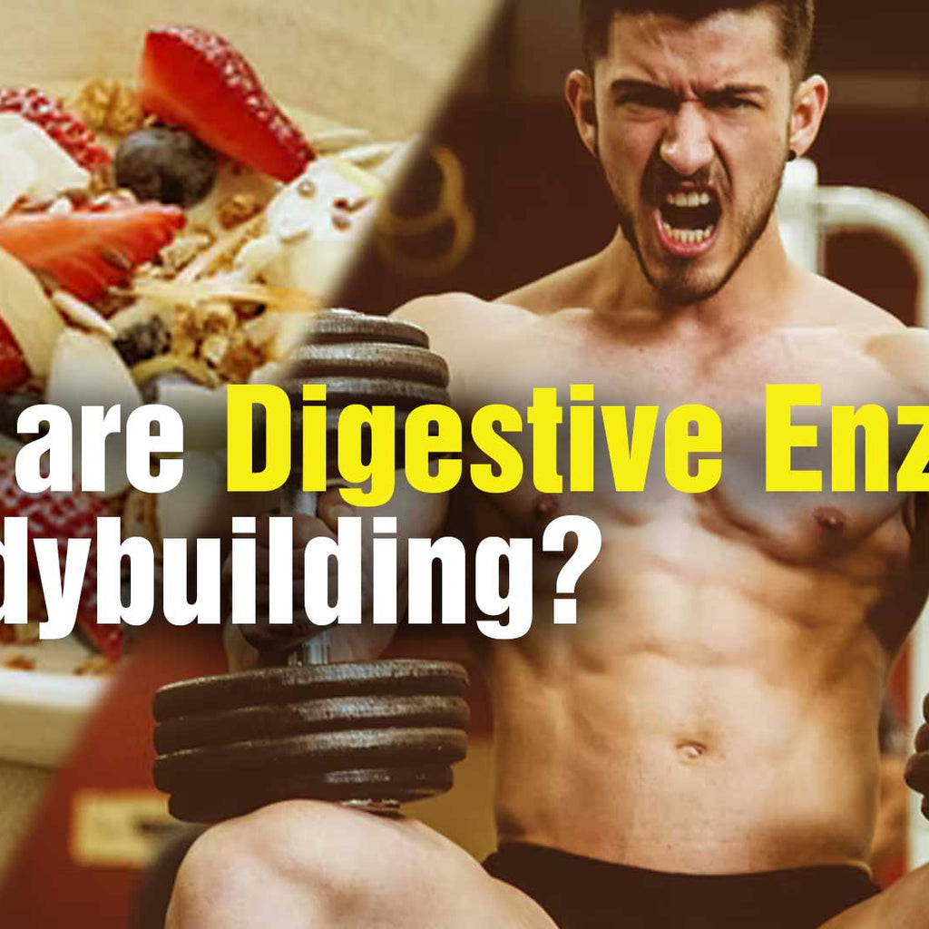 Digestive enzymes in bodybuilding GetMyMettle