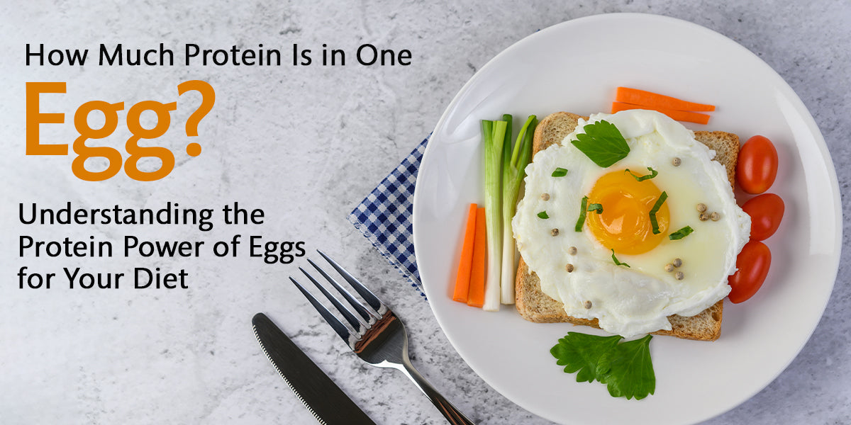 How Much Protein in One Egg