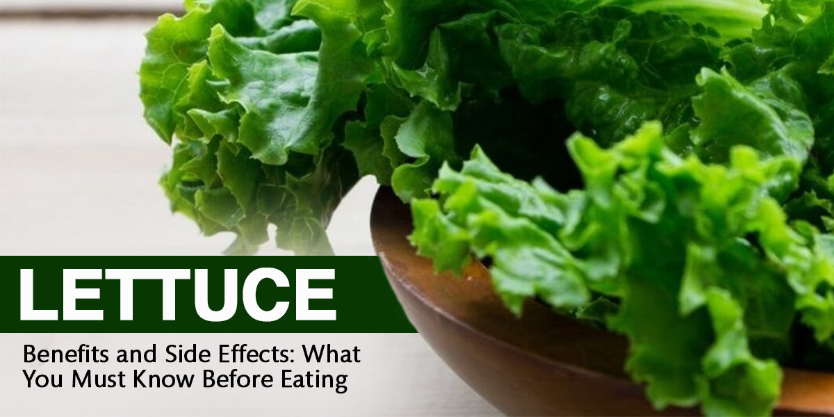 Lettuce Benefits and Side Effects