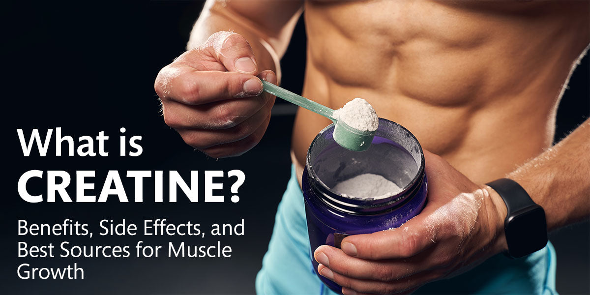 What is creatine? Benefits, Side Effects, and Best Sources for Muscle Growth