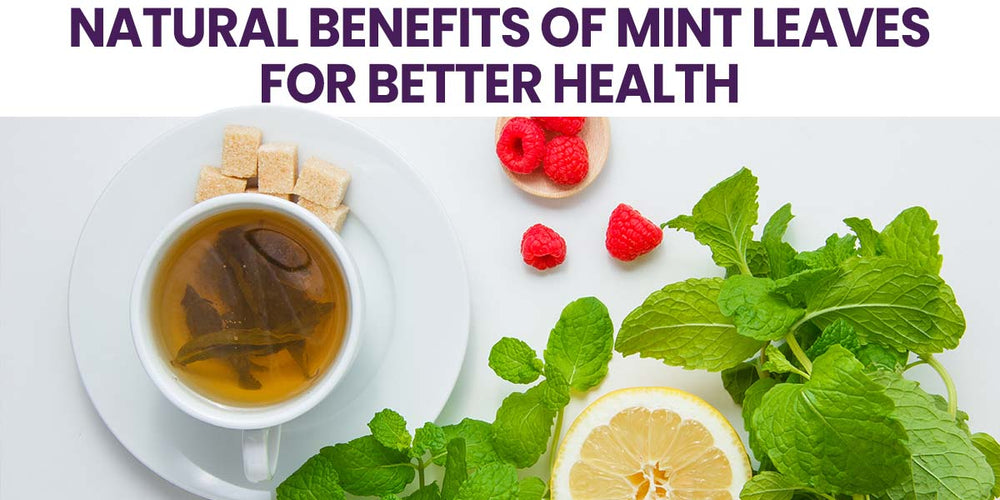 Natural Benefits of Mint Leaves for Better Health